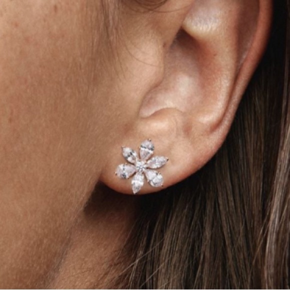Pandora Sparkling Herbarium Cluster Stud Earrings - Picture 5 of 5